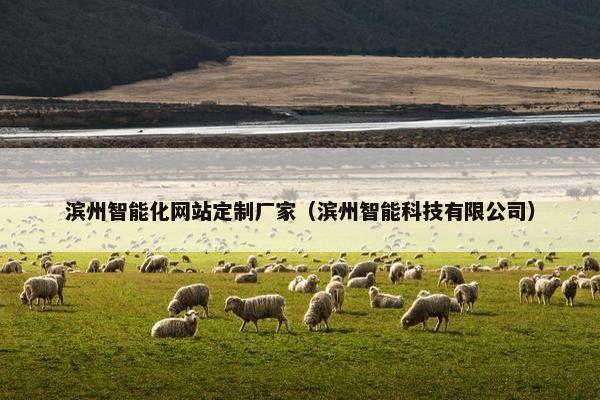 滨州智能化网站定制厂家（滨州智能科技有限公司）