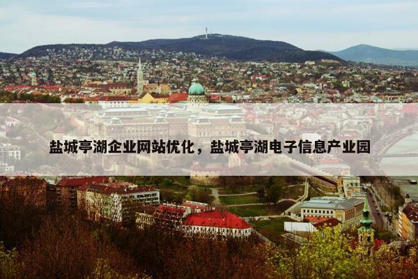盐城亭湖企业网站优化，盐城亭湖电子信息产业园