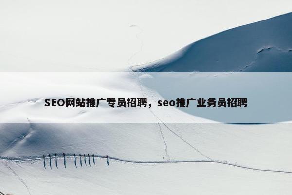 SEO网站推广专员招聘，seo推广业务员招聘