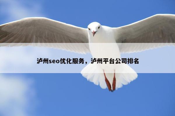 泸州seo优化服务，泸州平台公司排名