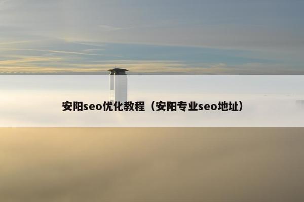 安阳seo优化教程（安阳专业seo地址）