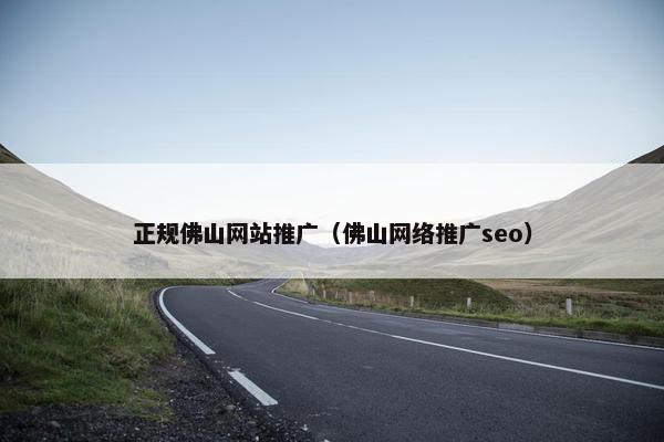 正规佛山网站推广（佛山网络推广seo）