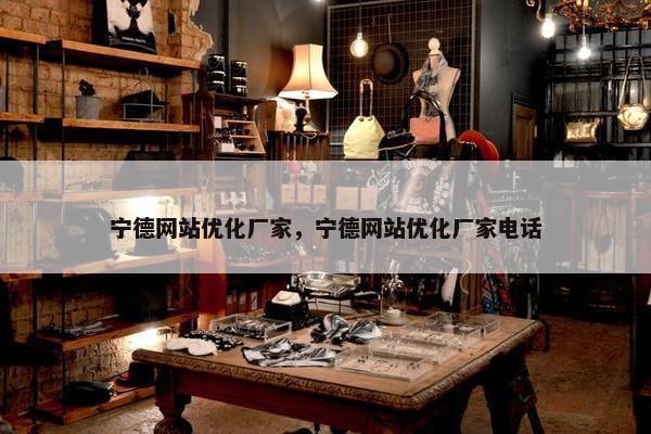宁德网站优化厂家，宁德网站优化厂家电话