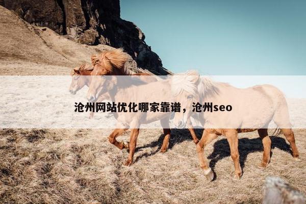 沧州网站优化哪家靠谱，沧州seo