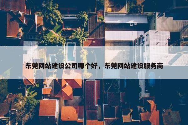 东莞网站建设公司哪个好，东莞网站建设服务商