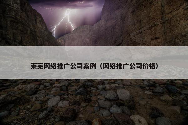 莱芜网络推广公司案例（网络推广公司价格）