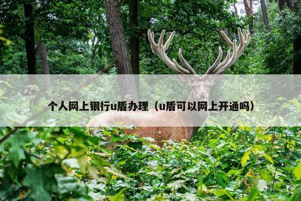 个人网上银行u盾办理（u盾可以网上开通吗）