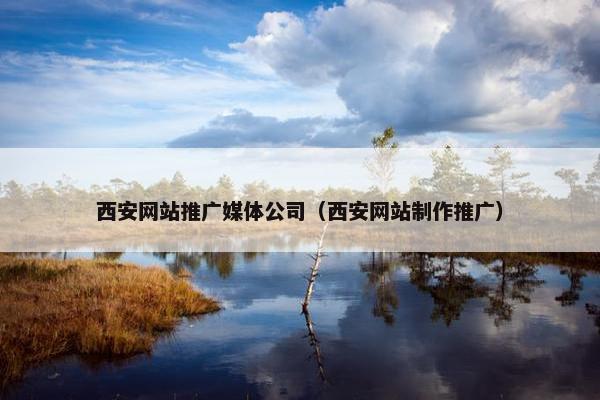 西安网站推广媒体公司（西安网站制作推广）
