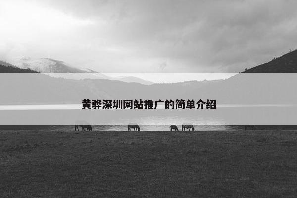 黄骅深圳网站推广的简单介绍