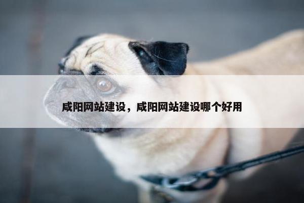 咸阳网站建设，咸阳网站建设哪个好用