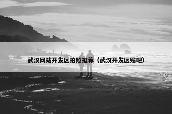 武汉网站开发区拍照推荐（武汉开发区贴吧）