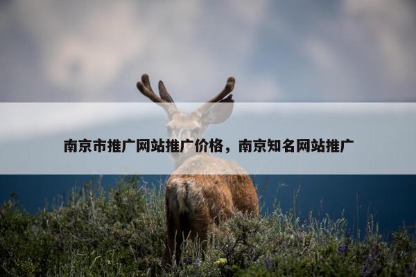 南京市推广网站推广价格，南京知名网站推广