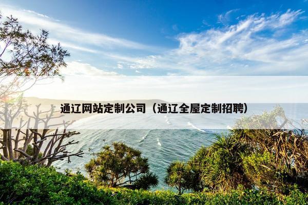 通辽网站定制公司（通辽全屋定制招聘）