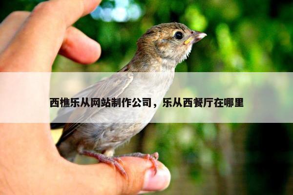 西樵乐从网站制作公司，乐从西餐厅在哪里