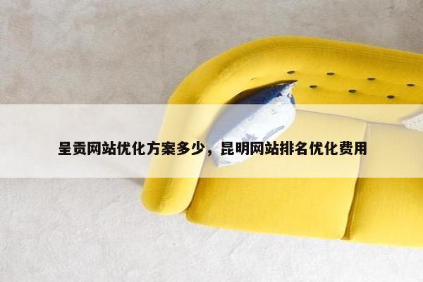 呈贡网站优化方案多少，昆明网站排名优化费用