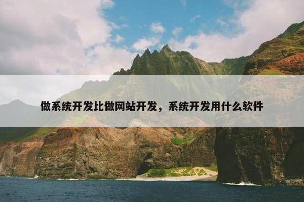 做系统开发比做网站开发，系统开发用什么软件