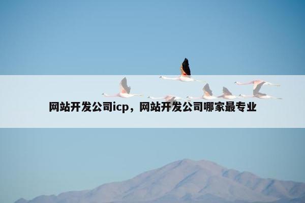 网站开发公司icp，网站开发公司哪家最专业