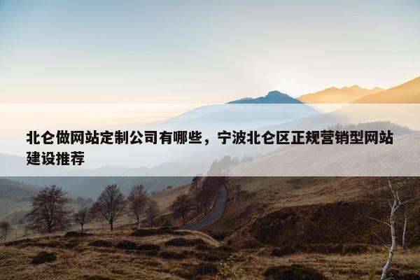北仑做网站定制公司有哪些，宁波北仑区正规营销型网站建设推荐