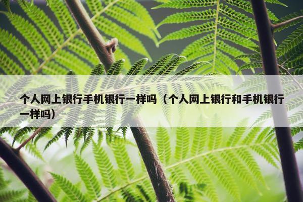 个人网上银行手机银行一样吗（个人网上银行和手机银行一样吗）