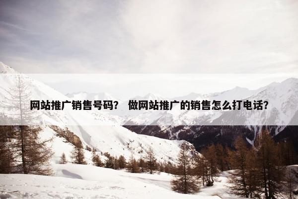网站推广销售号码？ 做网站推广的销售怎么打电话？