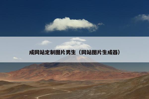 成网站定制图片男生（网站图片生成器）