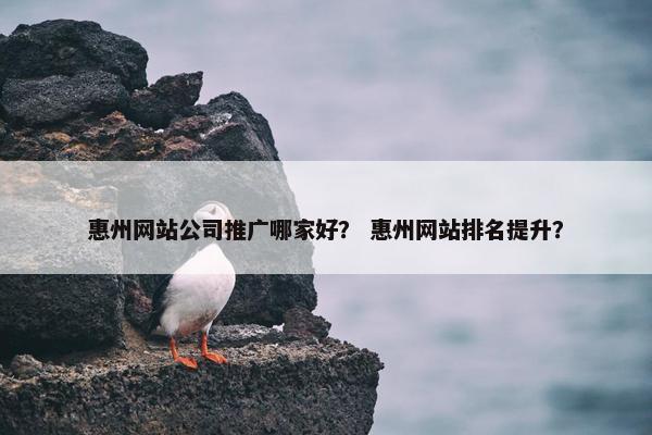 惠州网站公司推广哪家好？ 惠州网站排名提升？