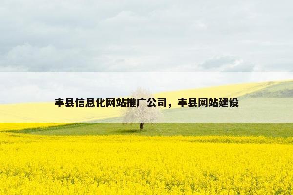 丰县信息化网站推广公司，丰县网站建设