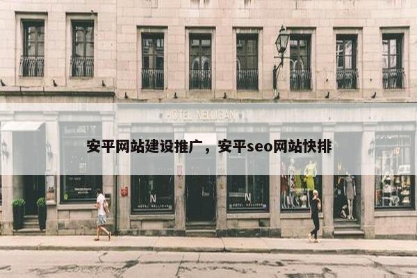 安平网站建设推广，安平seo网站快排