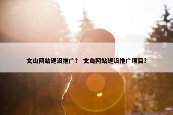 文山网站建设推广？ 文山网站建设推广项目？
