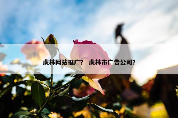 虎林网站推广？ 虎林市广告公司？