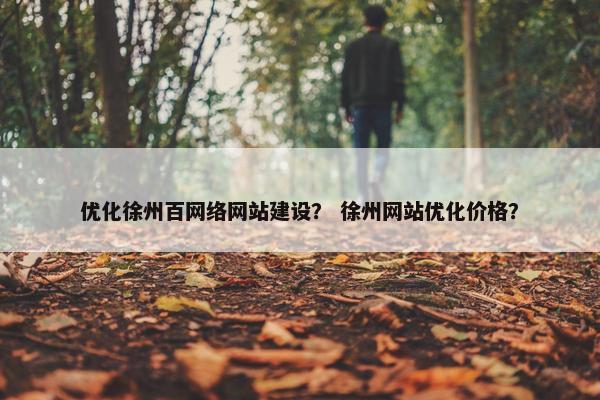 优化徐州百网络网站建设？ 徐州网站优化价格？