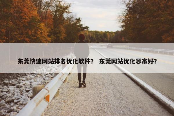 东莞快速网站排名优化软件？ 东莞网站优化哪家好？