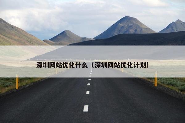 深圳网站优化什么（深圳网站优化计划）