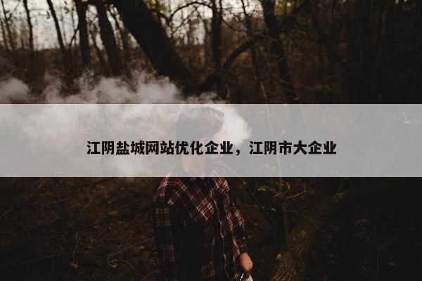 江阴盐城网站优化企业，江阴市大企业