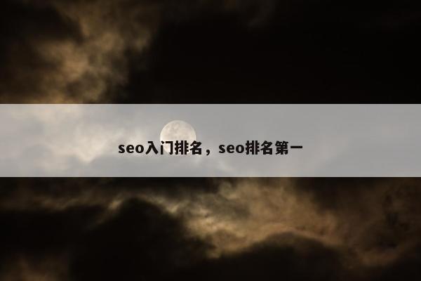 seo入门排名，seo排名第一