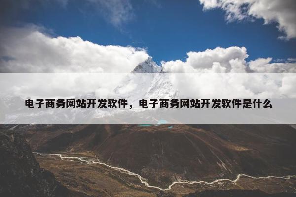 电子商务网站开发软件，电子商务网站开发软件是什么