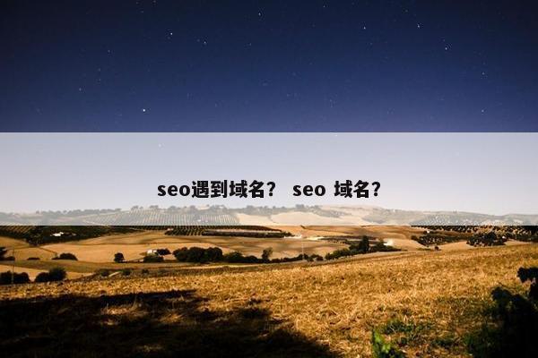 seo遇到域名？ seo 域名？