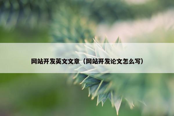 网站开发英文文章（网站开发论文怎么写）