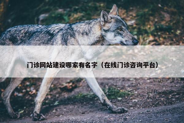 门诊网站建设哪家有名字（在线门诊咨询平台）