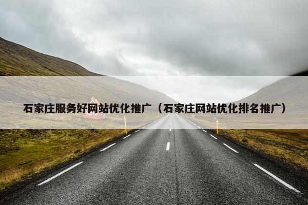 石家庄服务好网站优化推广（石家庄网站优化排名推广）