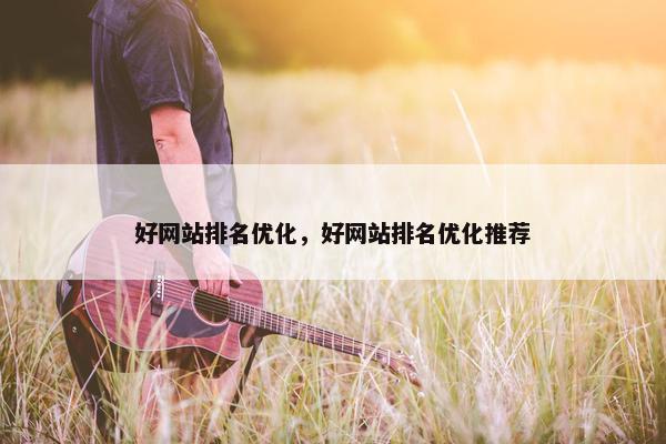 好网站排名优化，好网站排名优化推荐