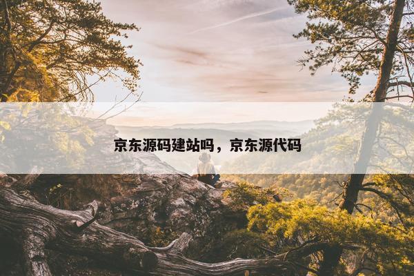 京东源码建站吗，京东源代码