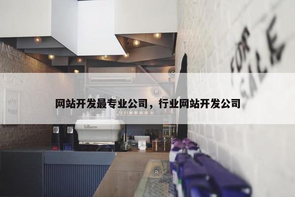 网站开发最专业公司，行业网站开发公司