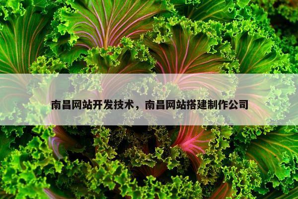 南昌网站开发技术，南昌网站搭建制作公司