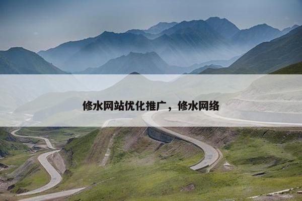 修水网站优化推广，修水网络