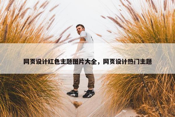 网页设计红色主题图片大全，网页设计热门主题