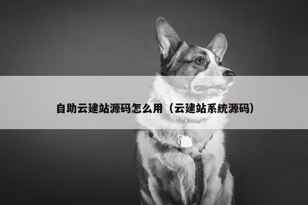 自助云建站源码怎么用（云建站系统源码）