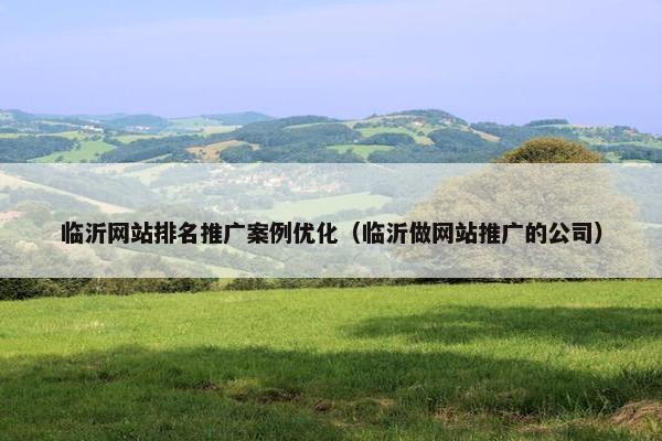 临沂网站排名推广案例优化（临沂做网站推广的公司）