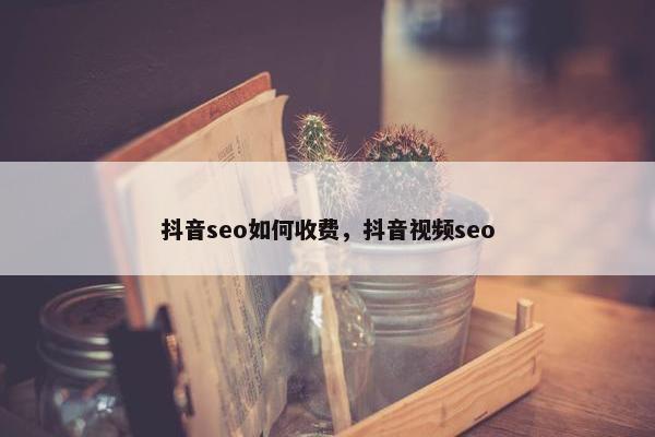 抖音seo如何收费，抖音视频seo