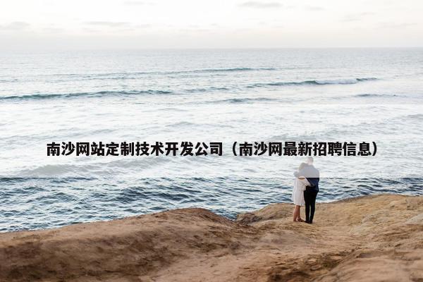 南沙网站定制技术开发公司（南沙网最新招聘信息）